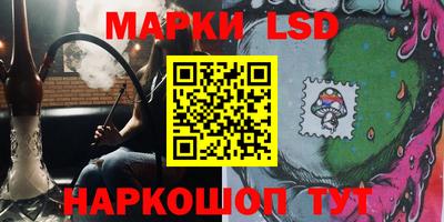 ешки Бийск