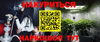 ешки Бийск