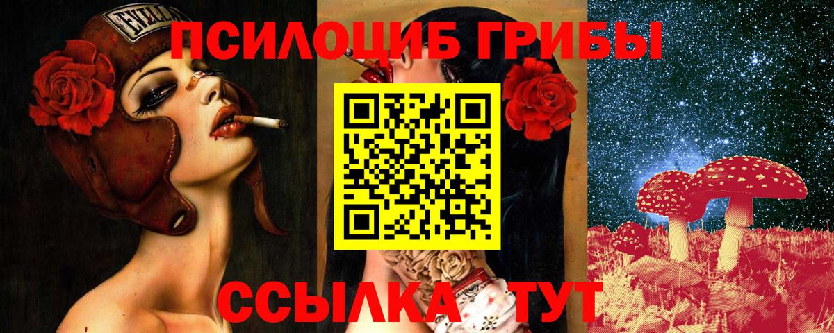 Казань  Псилоцибиновые грибы ЛСД  Псилоцибиновые грибы Psilocybe  Вход с VPN 